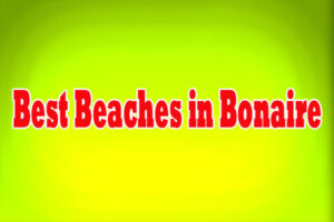 Best Beaches in Bonaire