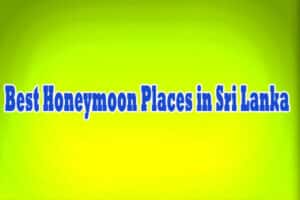 Best Honeymoon Places in Sri Lanka