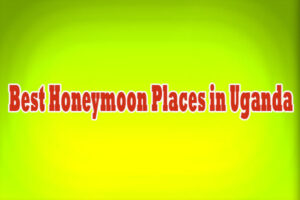 Best Honeymoon Places in Uganda