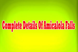 Complete Details Of Amicalola Falls