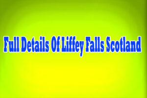 Full Details Of Liffey Falls Scotland