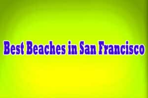 Best Beaches in San Francisco