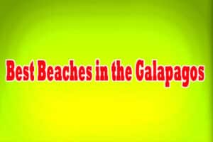 Best Beaches in the Galapagos